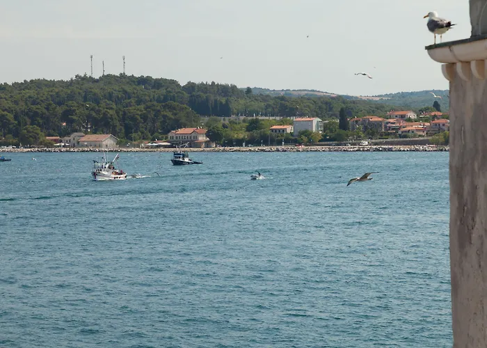 Angelo D'oro רוביני